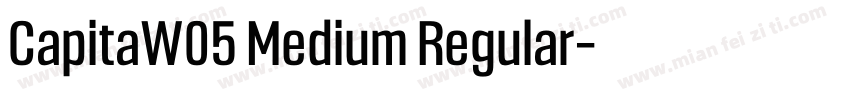 CapitaW05 Medium Regular字体转换